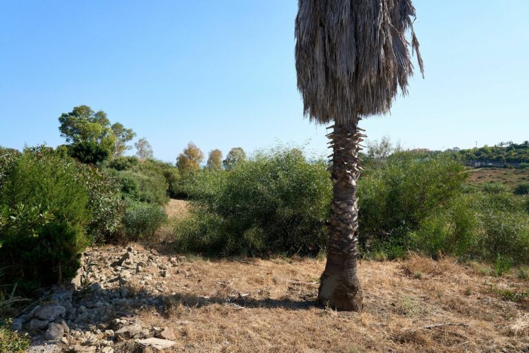 cee42c09b858dc7c7c034373513bec00 - 10