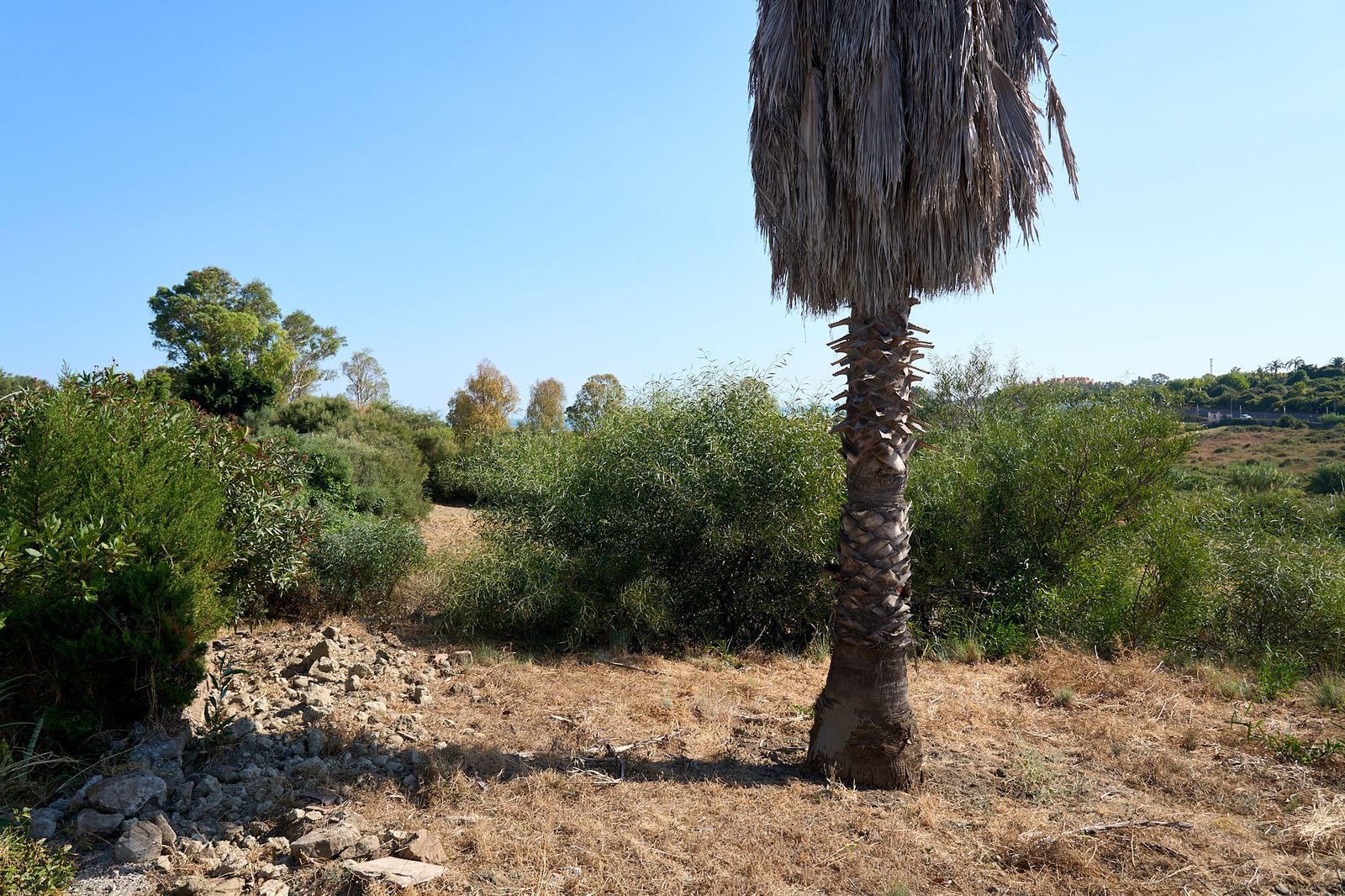 cee42c09b858dc7c7c034373513bec00 - 10