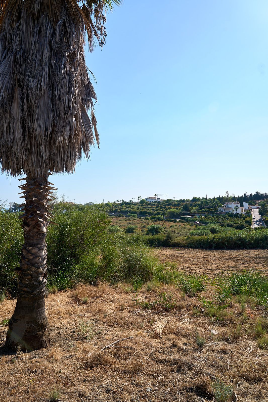 cee42c09b858dc7c7c034373513bec00 - 8