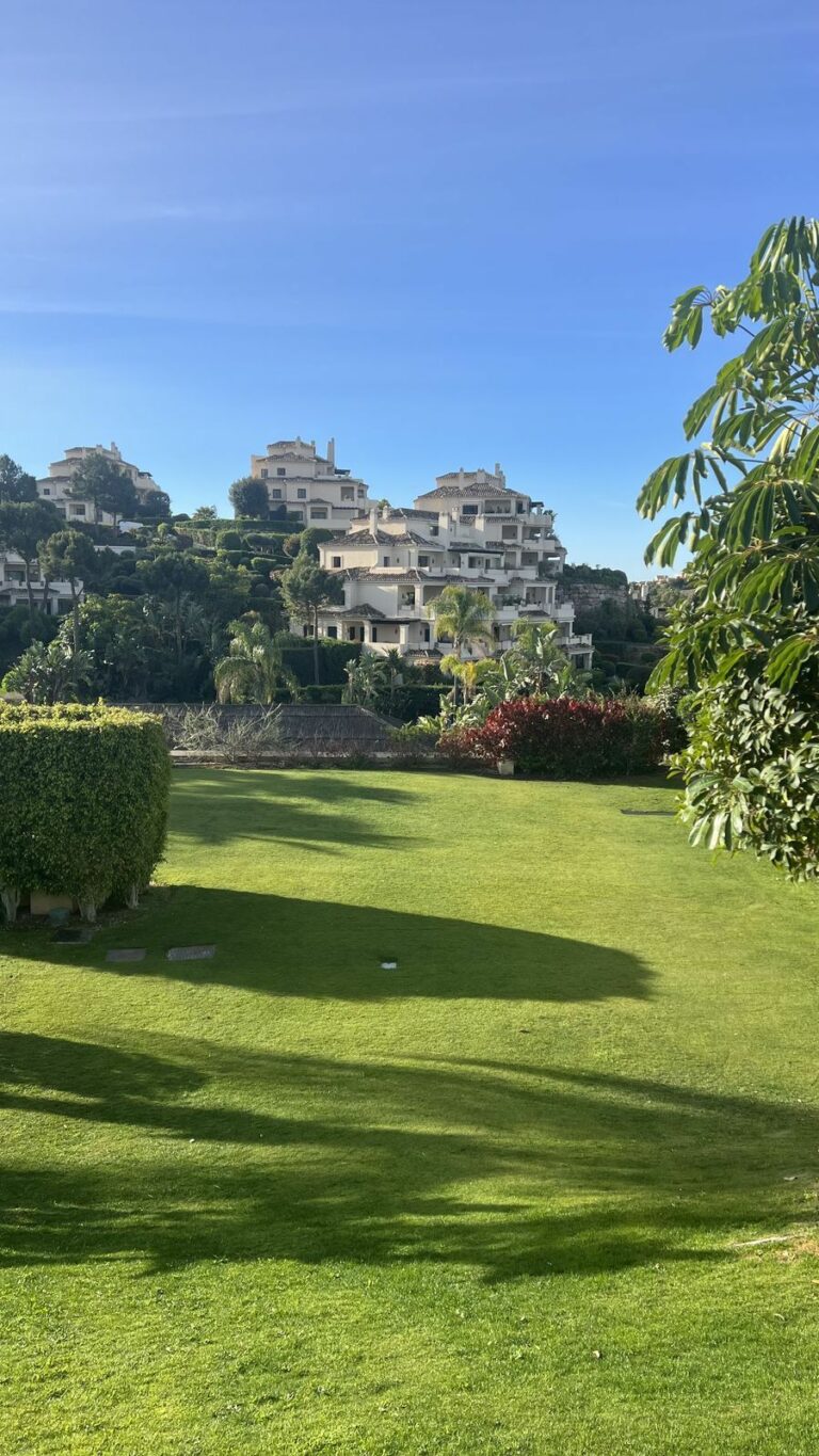 d55659778f1e25878afb07171a937b77 - 1