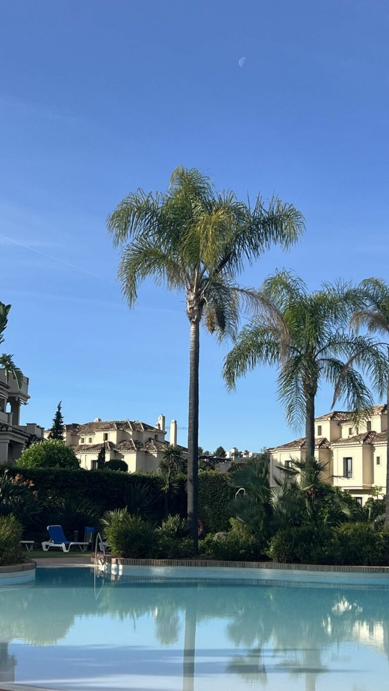 d55659778f1e25878afb07171a937b77 - 12