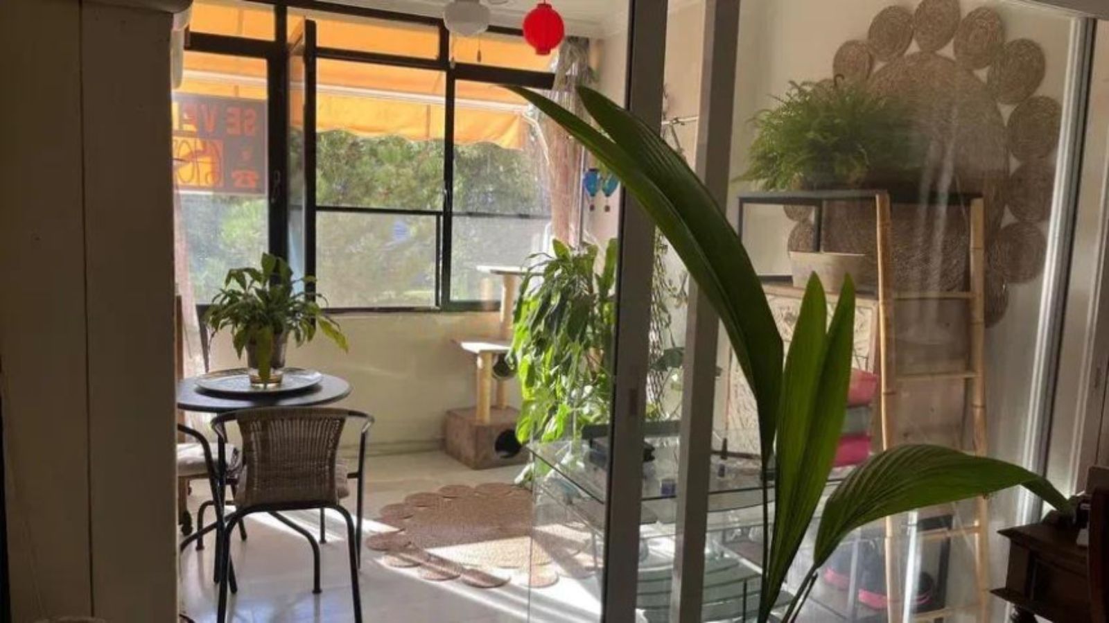 d5d6a2468fdf2952b7fc01d7b89916a3 - 8