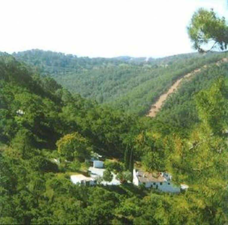 d75707da04069dc862446ea5ec89db29 - 5