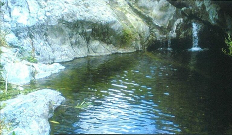 d75707da04069dc862446ea5ec89db29 - 8