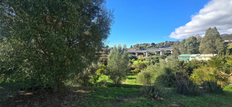 e38b541d518dcd005b757a5049634e8d - 3