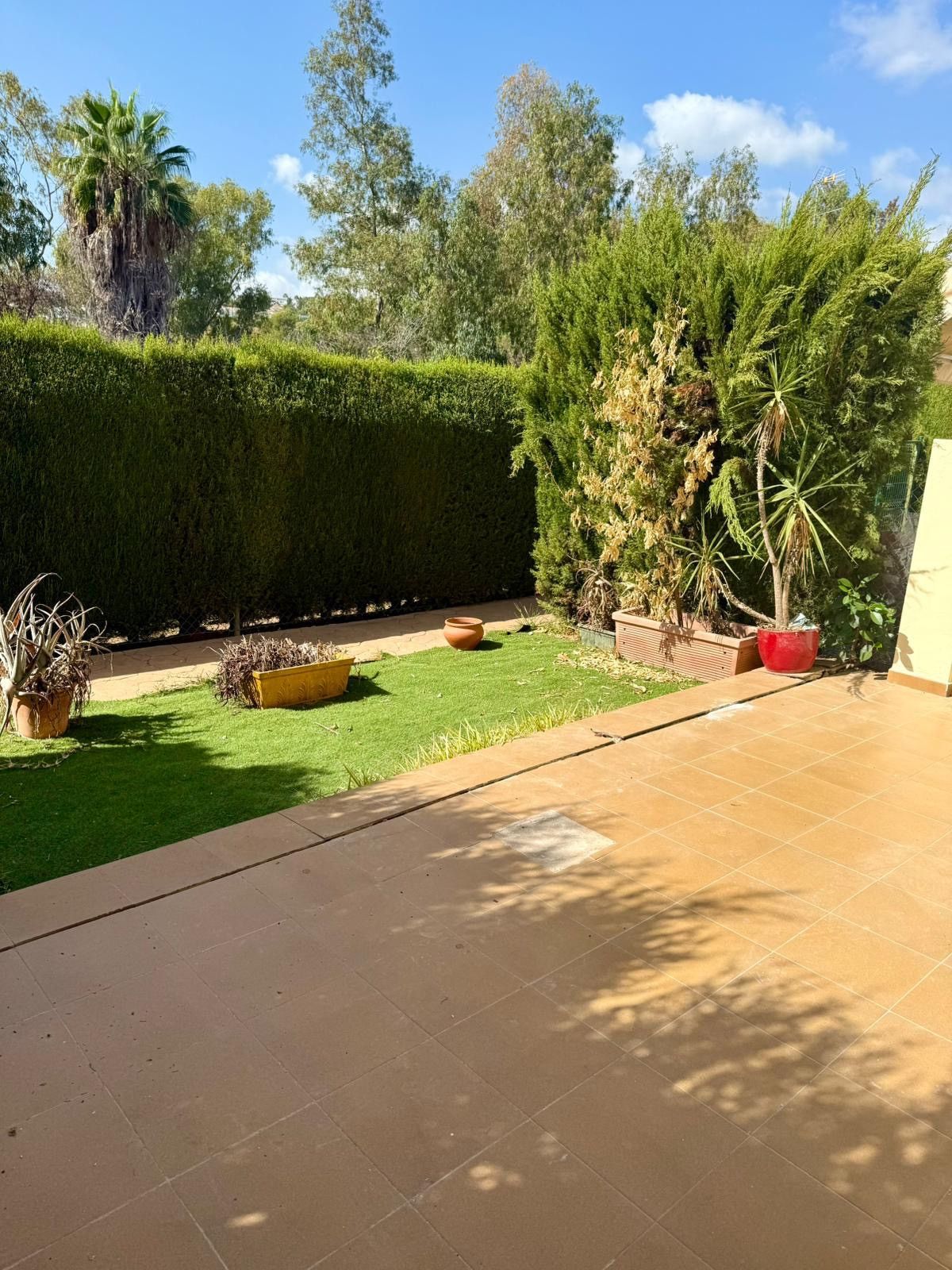 ed739c175384b64c04d12b72a2508c17 - 6