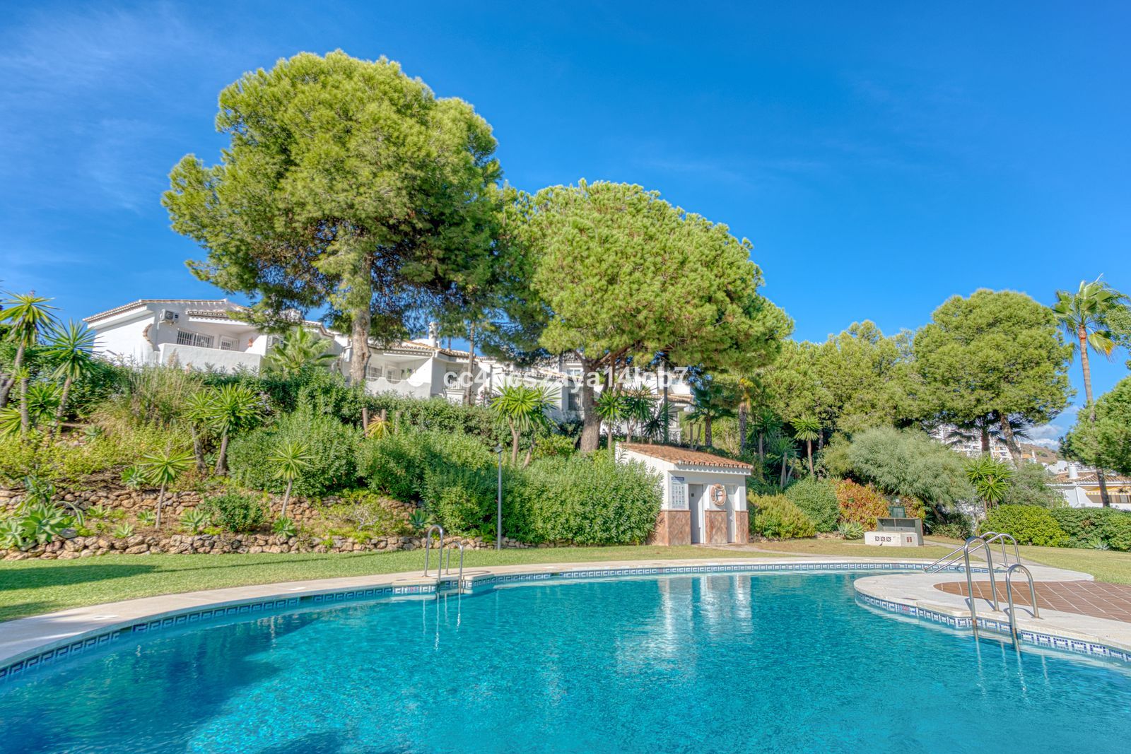 fed360ec271fd7ba1c6f8c6ec9b4099d - 1