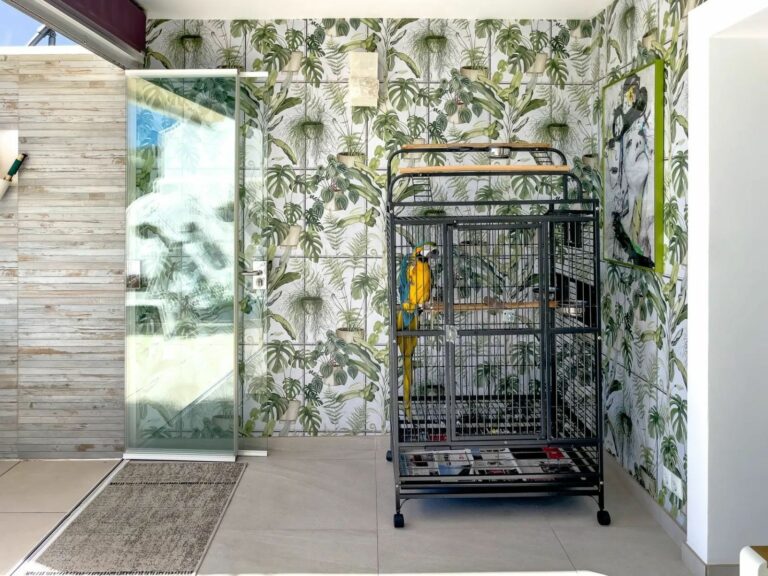 03655cd24c52b301b069a577506d4651 - 12