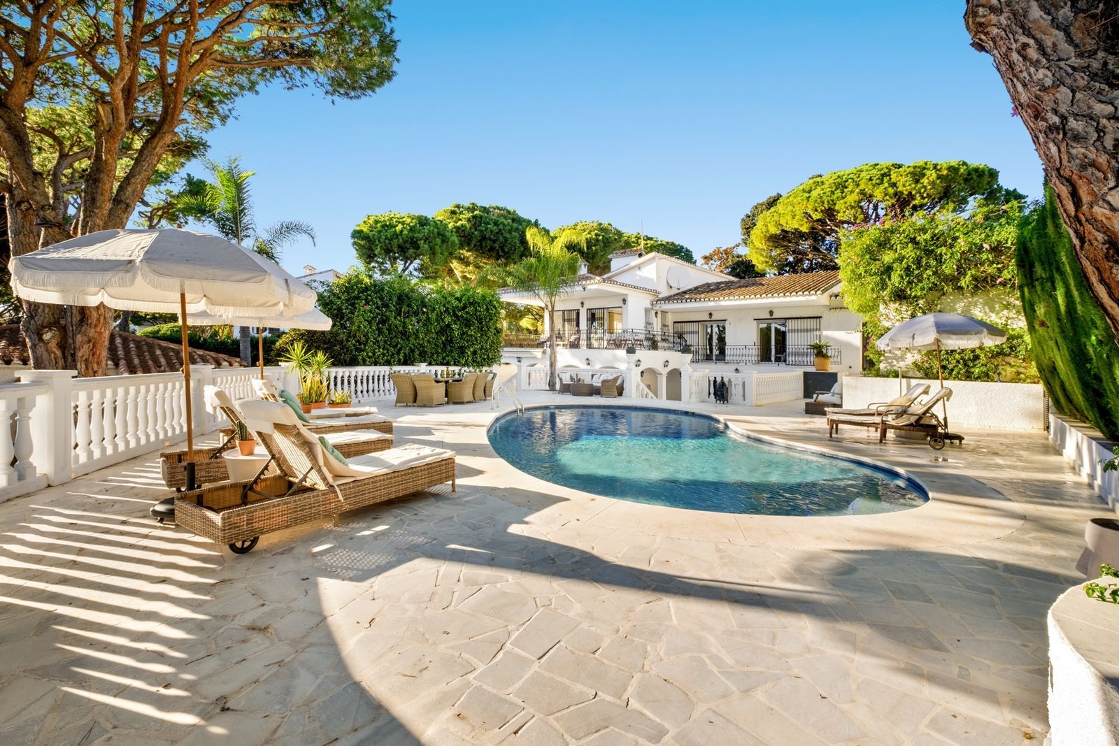 11baab3627553eed48ab81d08f604e03 - 1