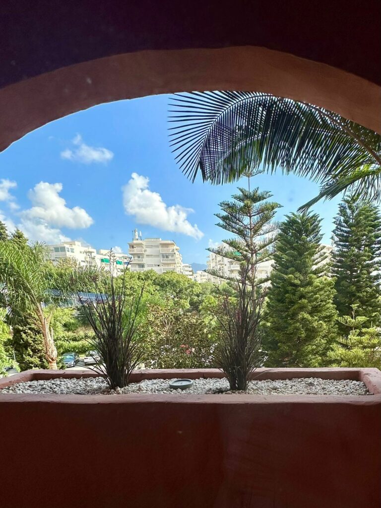 21eb0af12fe82590c4af7323eef258aa - 13