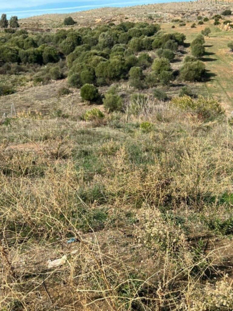 392162d83f1549128c96fcf8d7626e59 - 6