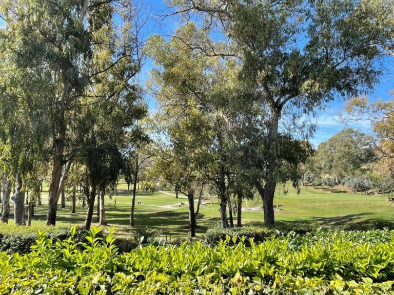 3bbafc7e2c4af7cd4debf327985bfdba - 11