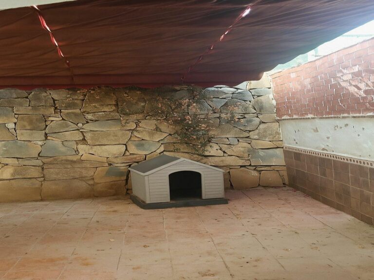 52a3036caaf39646cc60f200e5b3f47d - 10