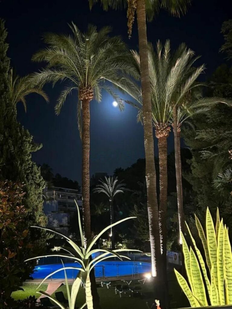 61f429a49906d7aefc99f46855cca55f - 16