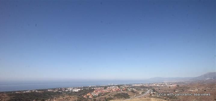 6c1a86a47366ea45e587b365ca4b4296 - 1