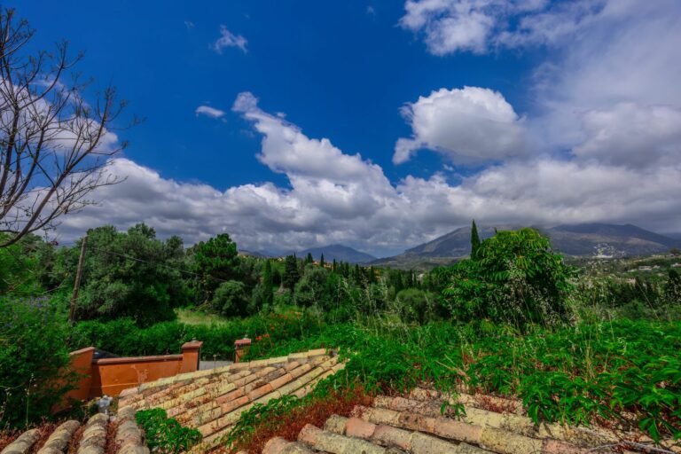 6e3d317b61dd4488da54fd123c2600b3 - 4