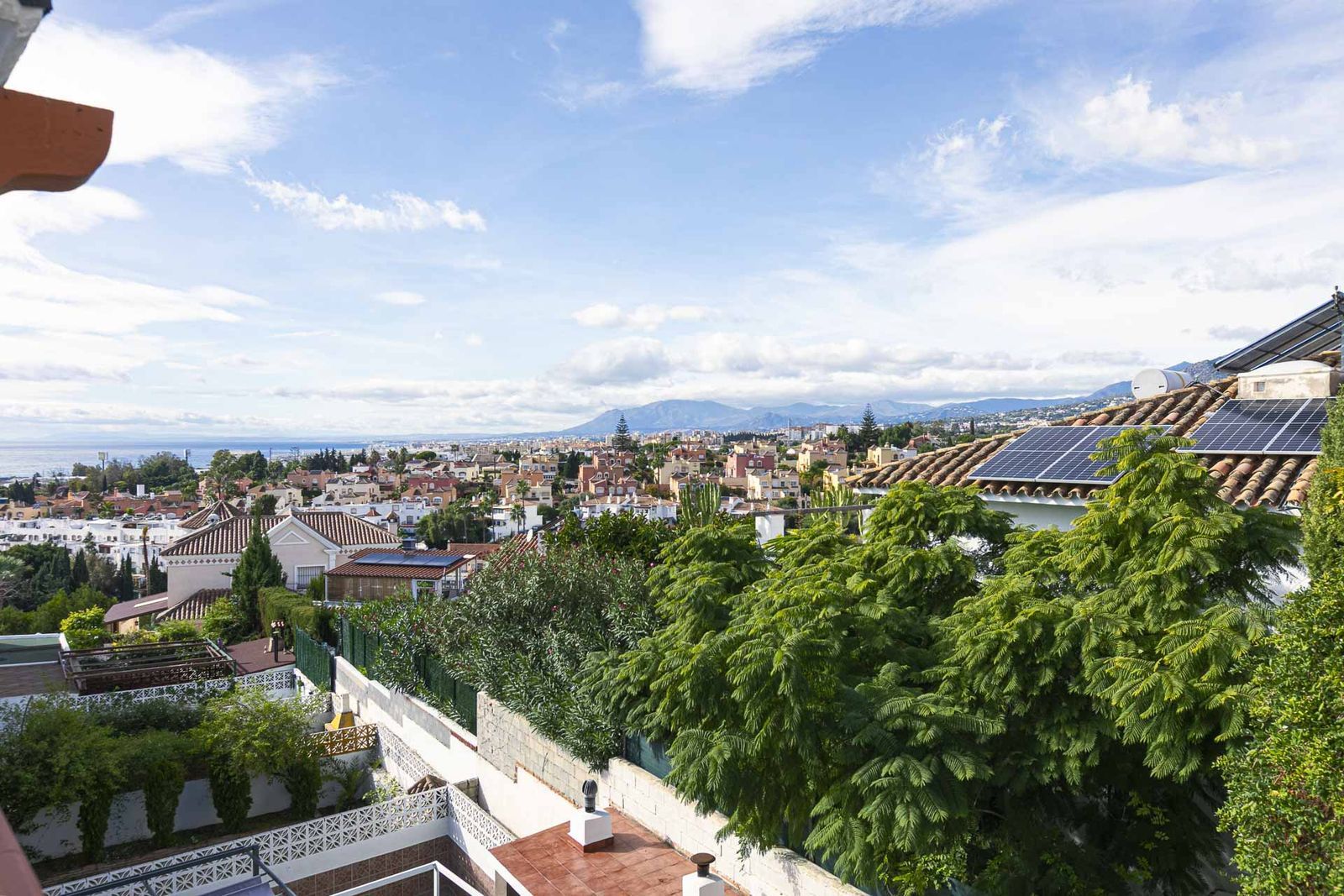 6ec326dca0e15c045859e6ff08390912 - 1