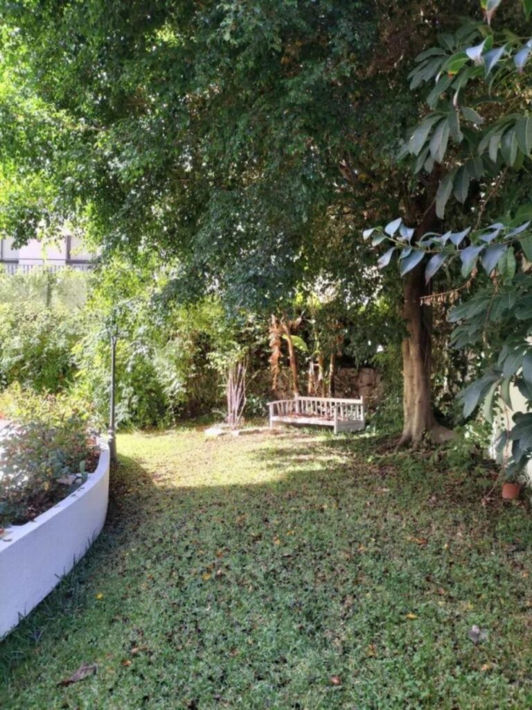 72c996c1301e42623008376df7999e80 - 5