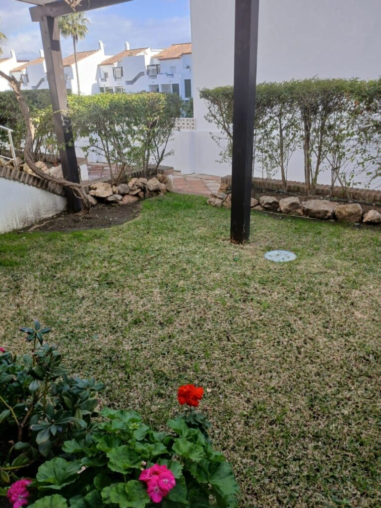 764ddbbfa553f47a9ffd90ddee098785 - 5