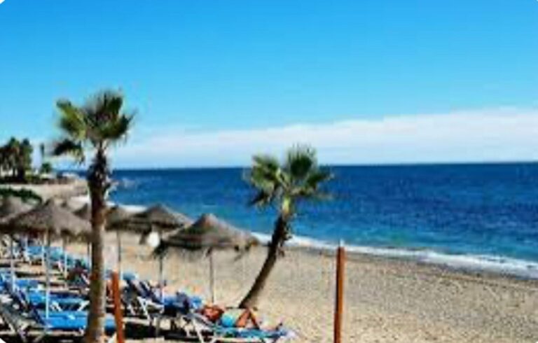 8bb841524c04e4e7b26939066f60ad87 - 1