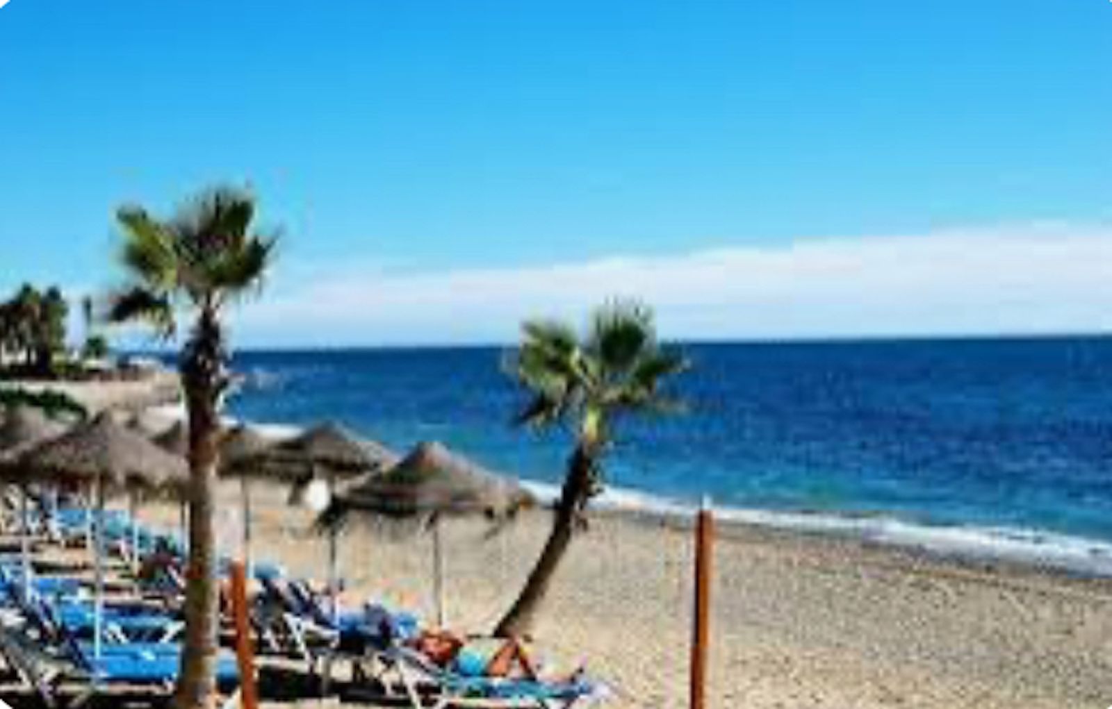 8bb841524c04e4e7b26939066f60ad87 - 1