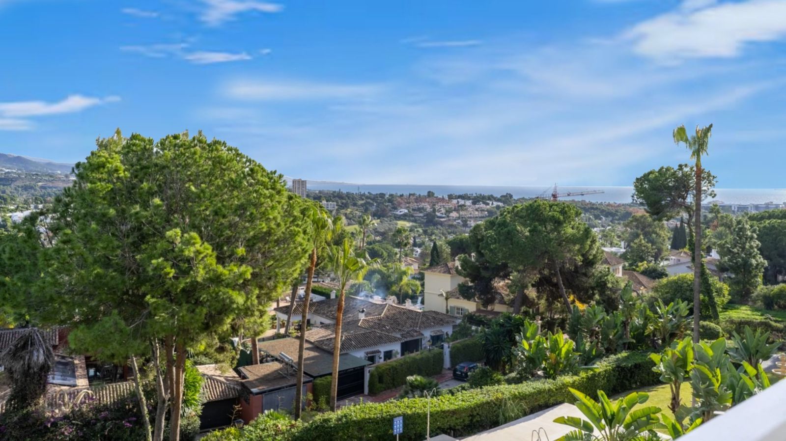 91846fb36d5b50c4e0ba570047f6bbfa - 5