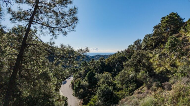 a1d3ad31c9c59ea5bf55c61f5657d322 - 13