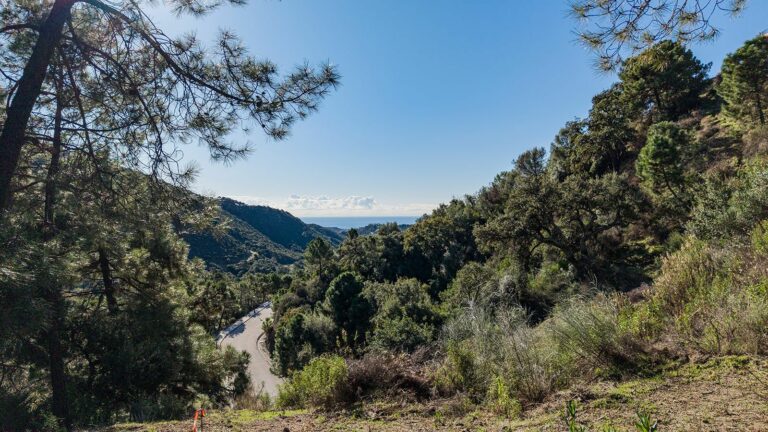 a1d3ad31c9c59ea5bf55c61f5657d322 - 3