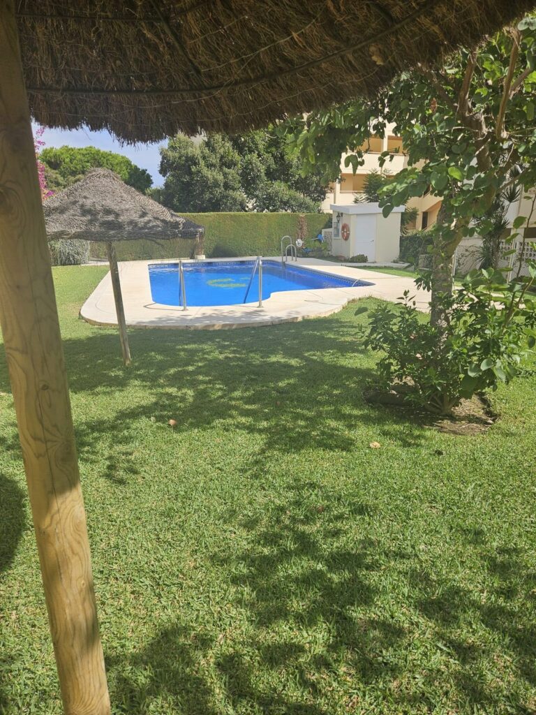 a55d3dd80fe093222ad83478f54fa576 - 1