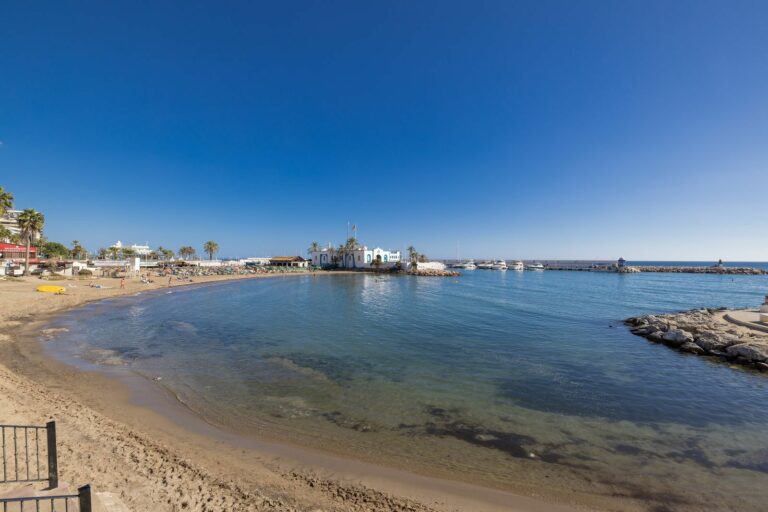 b476d63e7d707ba3dff52b025ce6186a - 7