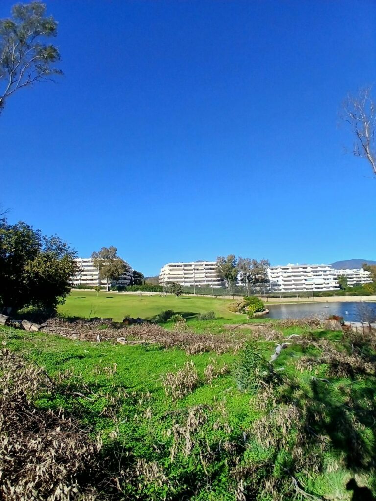 c2416e7e86cd87976b2f571f4ae77b8a - 11