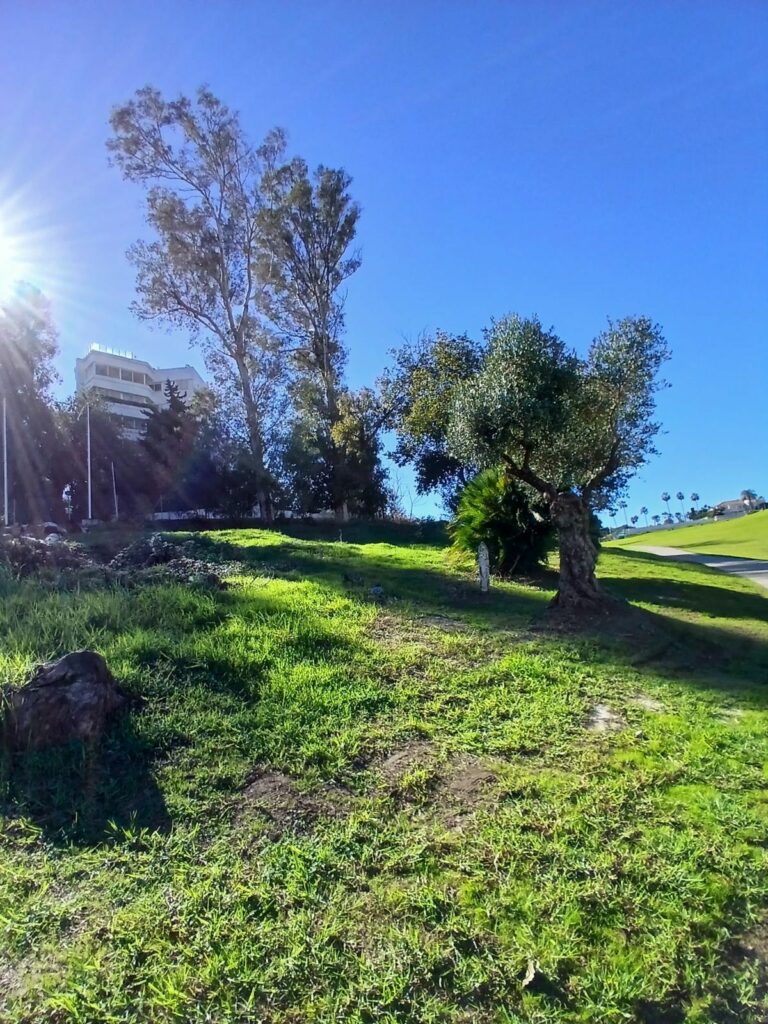 c2416e7e86cd87976b2f571f4ae77b8a - 2