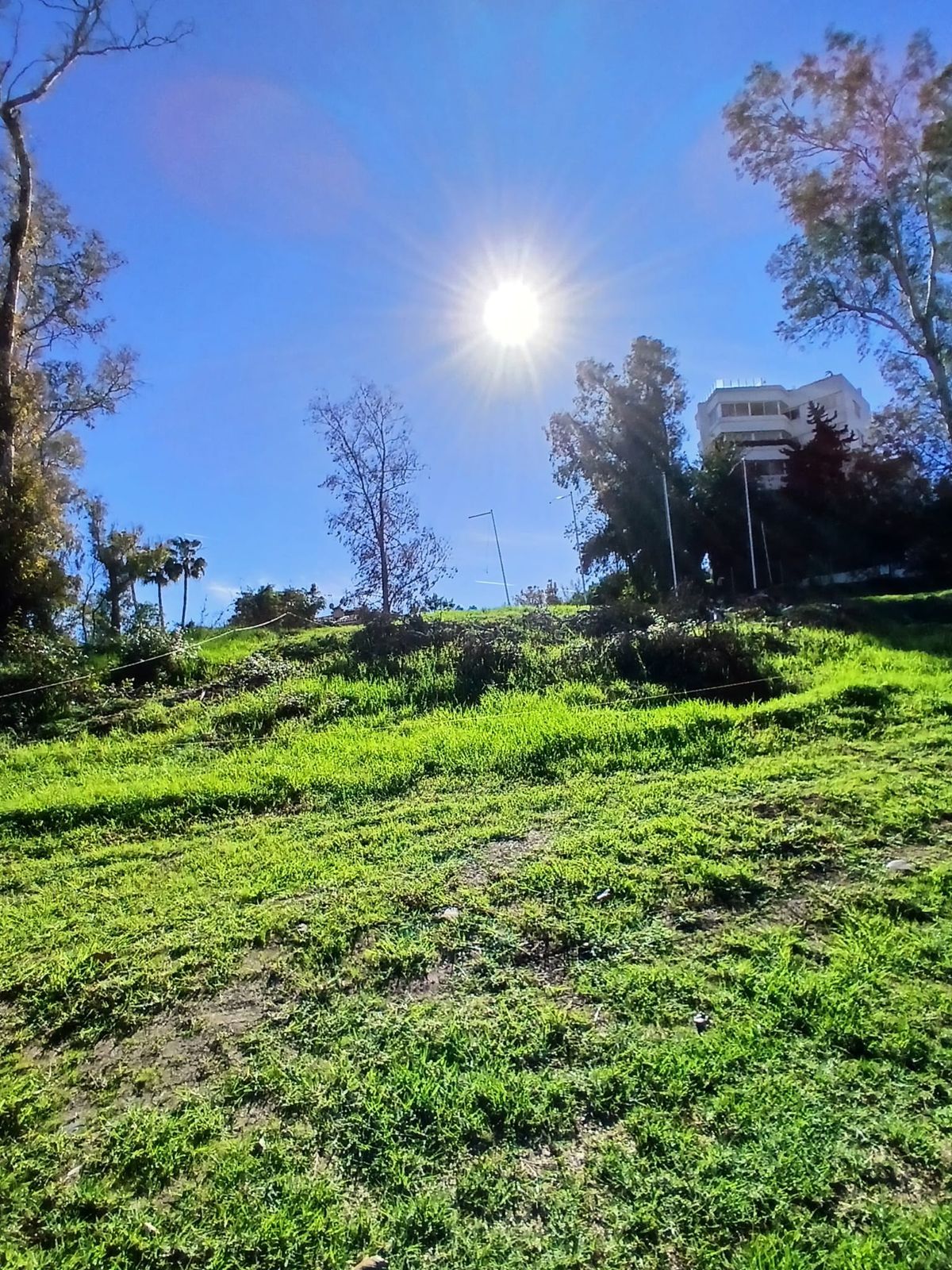 c2416e7e86cd87976b2f571f4ae77b8a - 3