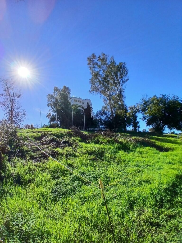 c2416e7e86cd87976b2f571f4ae77b8a - 4