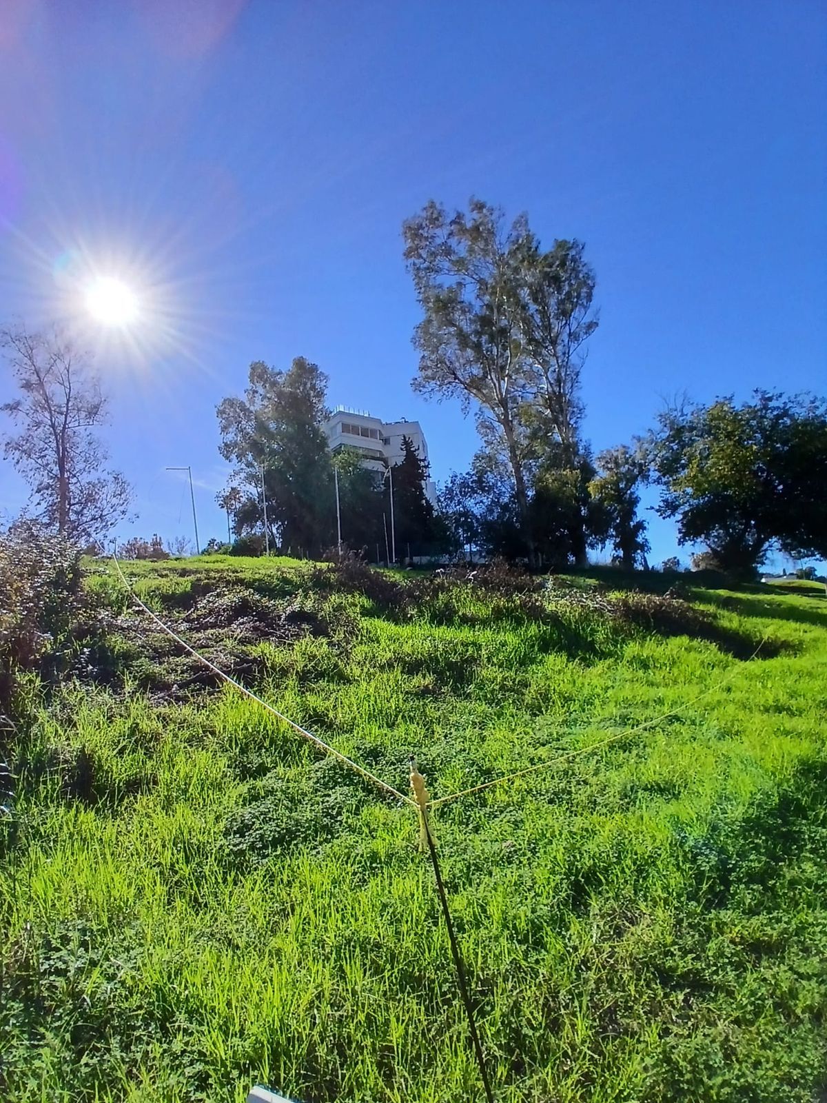 c2416e7e86cd87976b2f571f4ae77b8a - 6