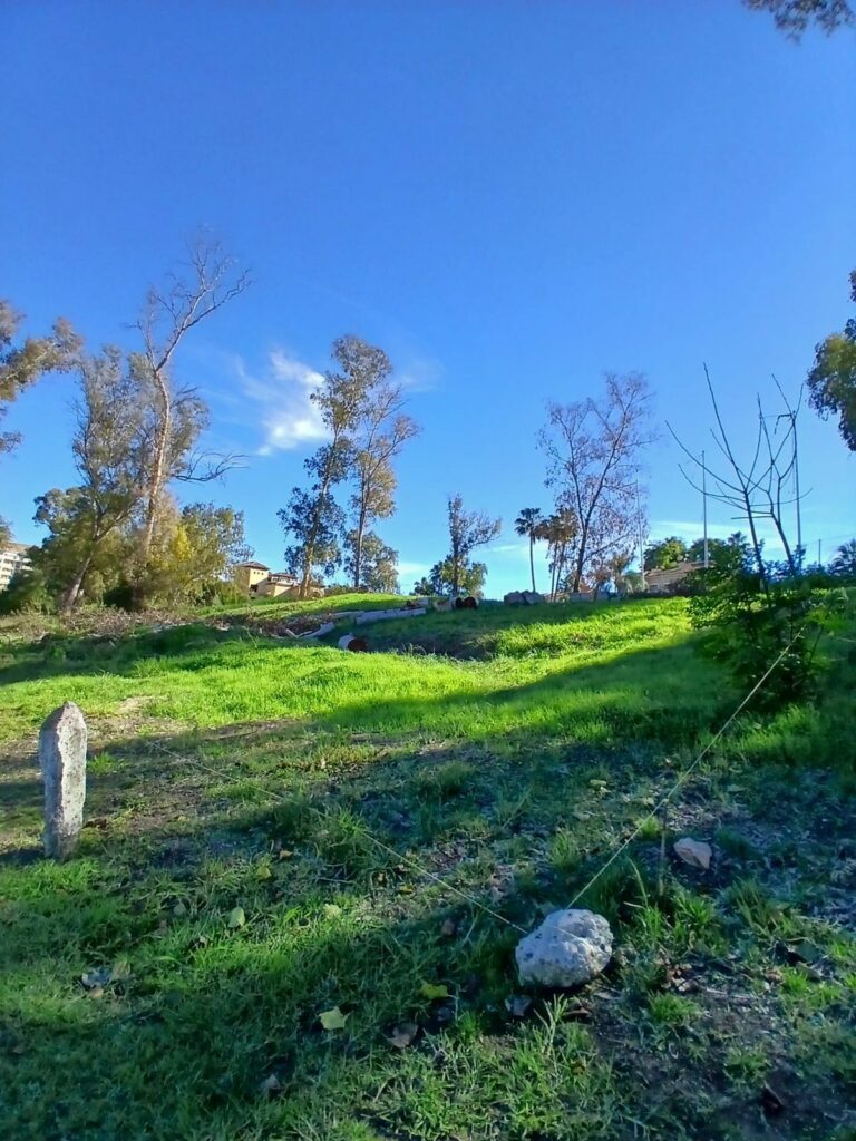 c2416e7e86cd87976b2f571f4ae77b8a - 8