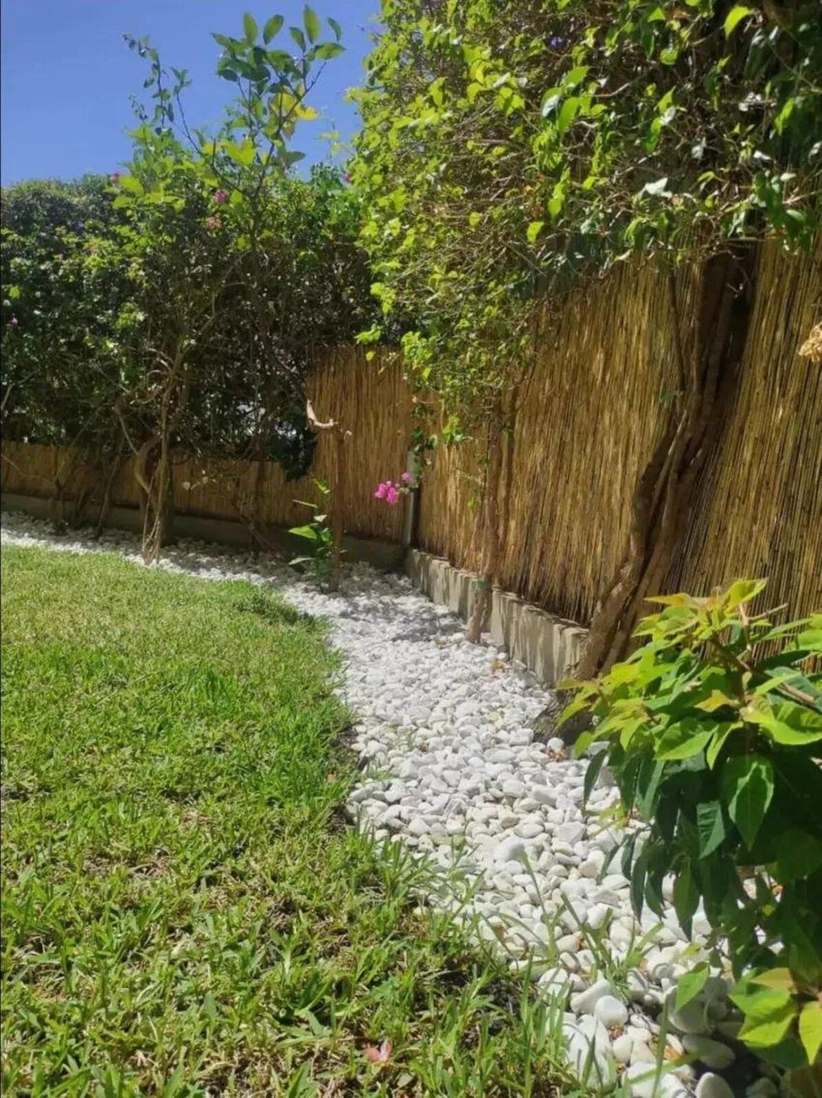 c54a987df33badd88c4bf3007917def3 - 8