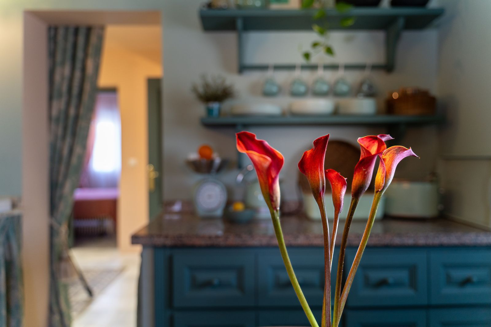 d4b8bac7d3e23c6f4269cab3321ef4c3 - 16