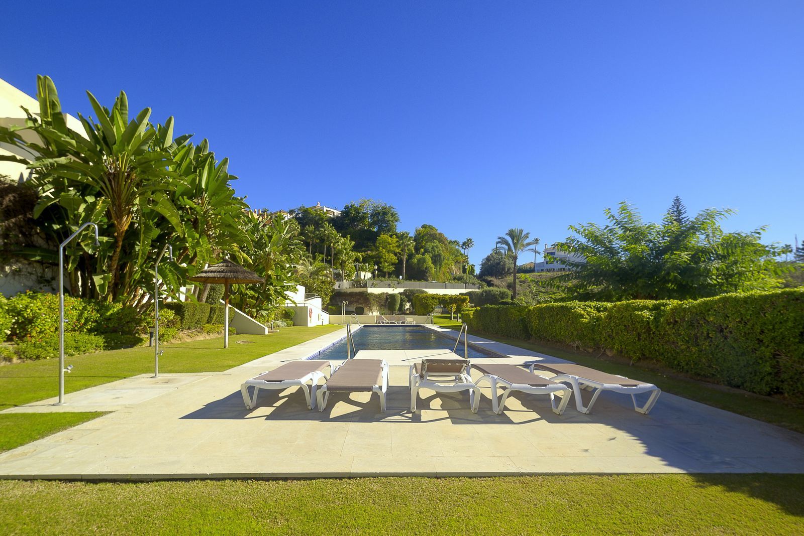 dfe2ba2e0a97fe18961582144068db06 - 14