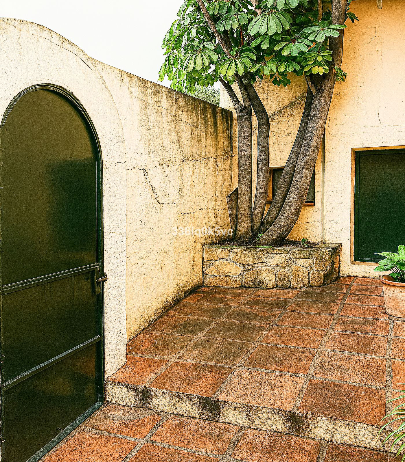 e25007adfe19039e2e43b513ff58614c - 15