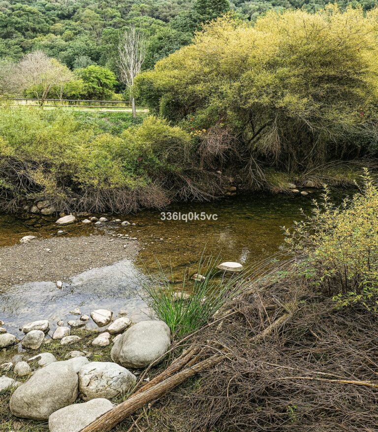 e25007adfe19039e2e43b513ff58614c - 9