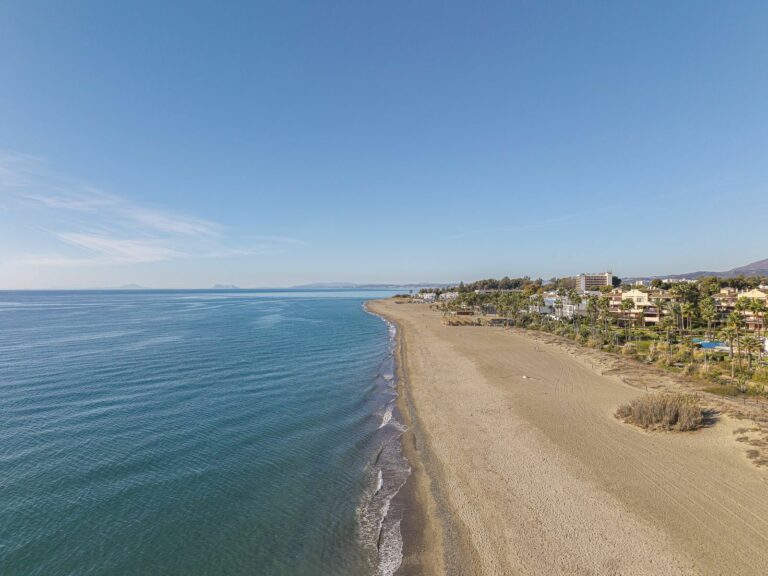 e60056d8355445d45b9749b3c3dd1580 - 3