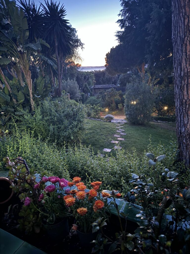 f1e37a70901b2f1a625a4ee01da05c65 - 15