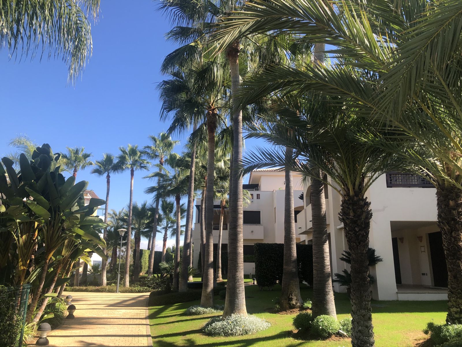 f3b0a0c97a3ce614fda916240140302d - 1