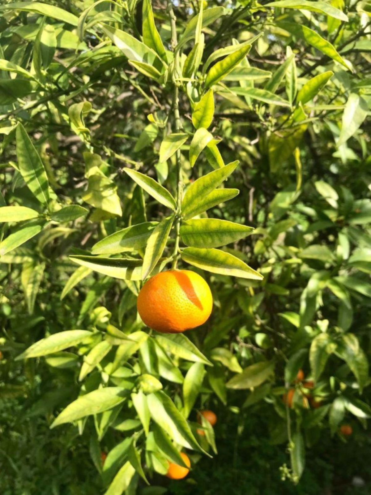 f77aca232fb32d7e97a88a8c66072be2 - 14