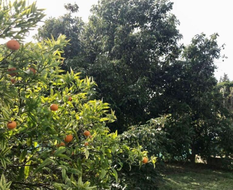 f77aca232fb32d7e97a88a8c66072be2 - 16