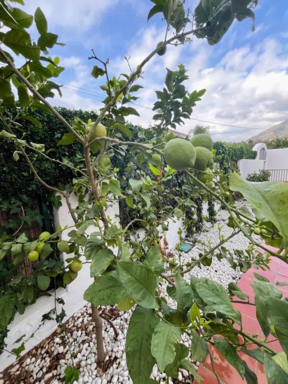 fdfcca9f680f0545c08eab68f66259c6 - 6