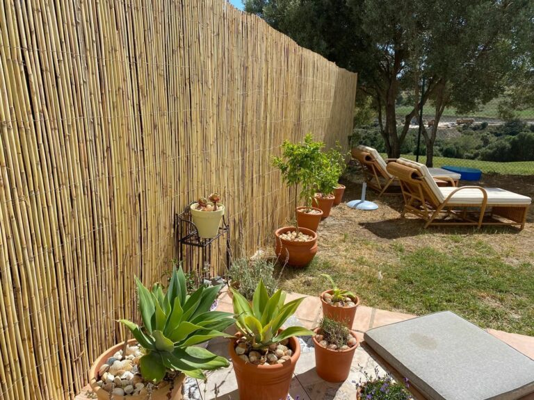 0412d4bb23075f6fa216459272827bbd - 13