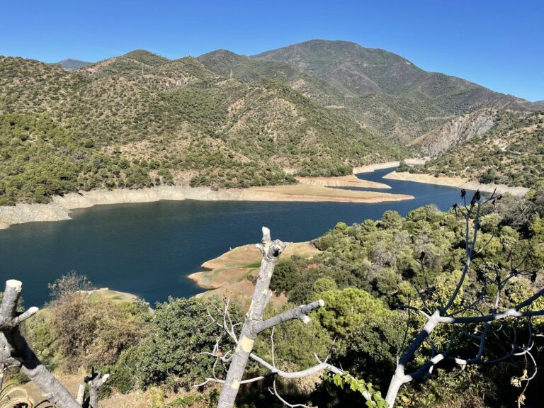 1151d66ce9a472bb0613cae032c8c7b9 - 2