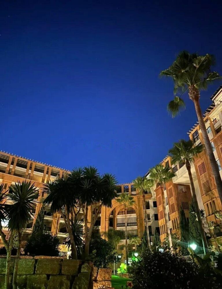 2336a12a0538dfd999939892779b3c73 - 14